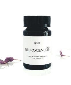Neurogenesis No.3