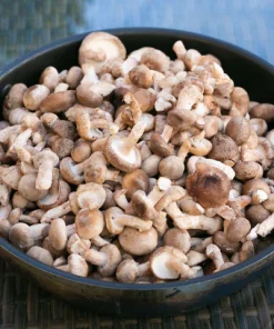 Buy fresh Shiitake Mushrooms