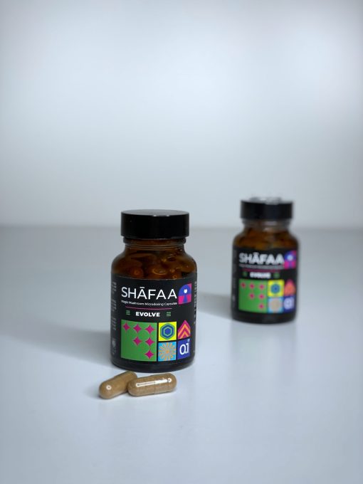 Shafaa Evolve Magic Mushroom